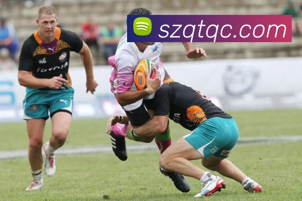 开云APP 高清赛事图